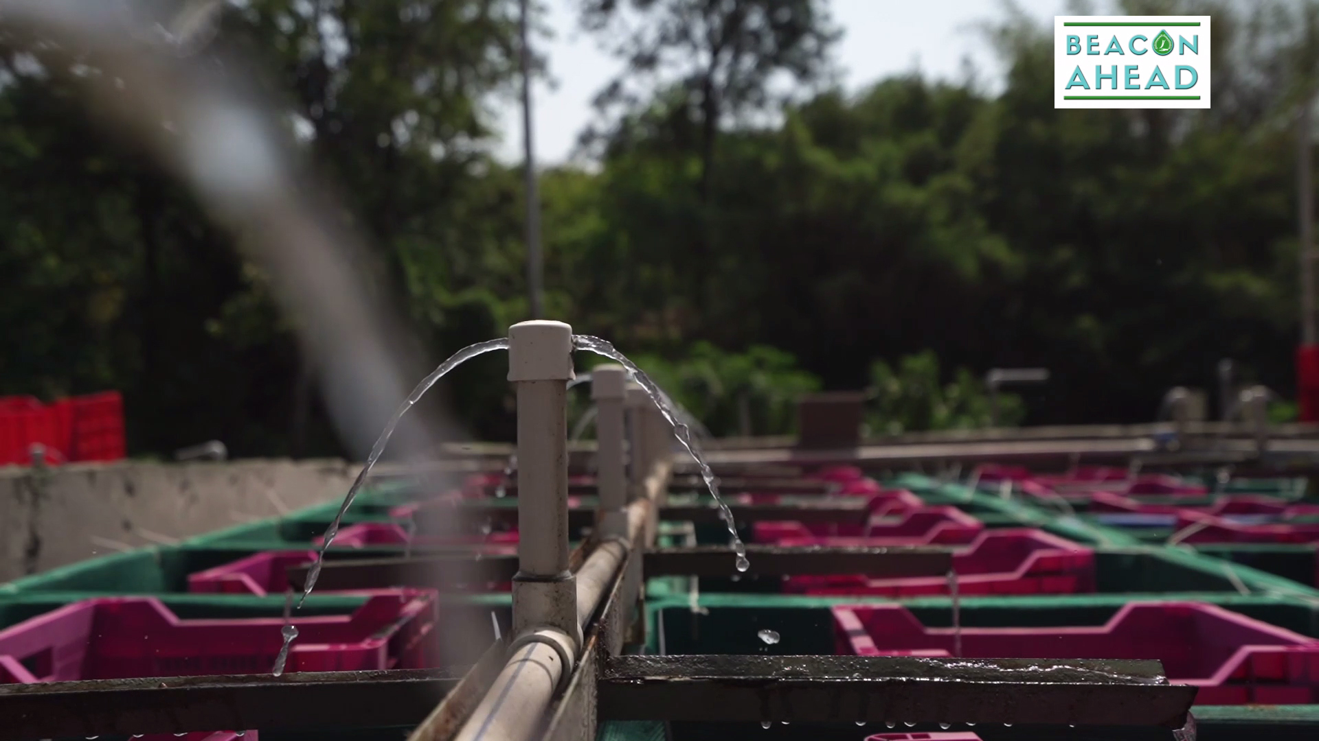 Worm-Composting Toilets – Beacon Ahead Institute