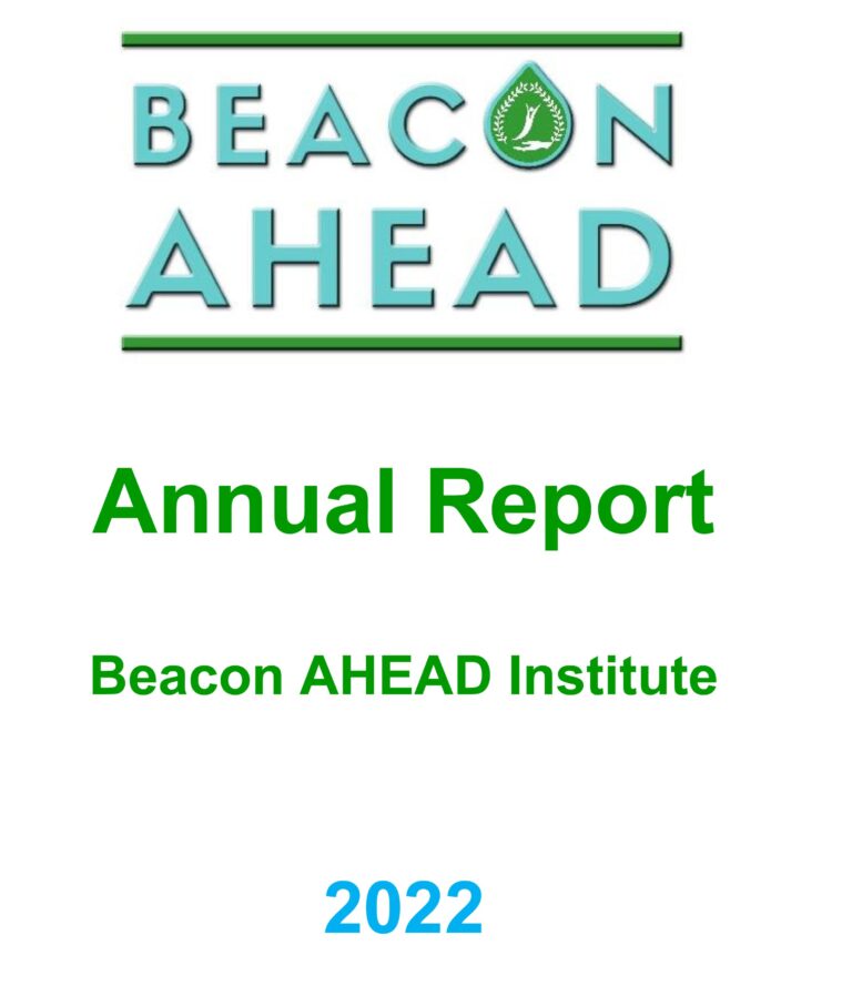 BAI Annual Report 2022